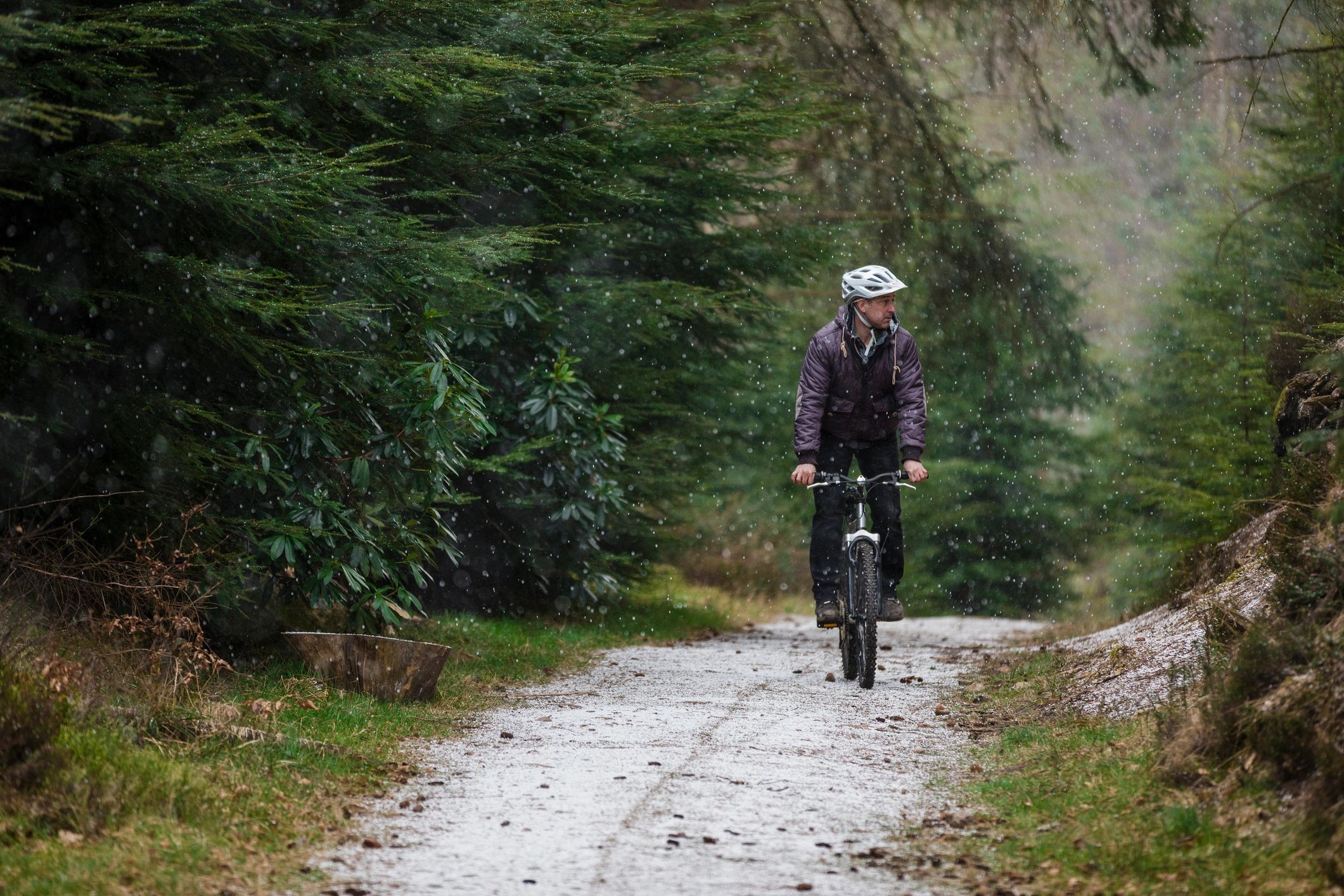 Rider on an e-bike on a wooded trail
