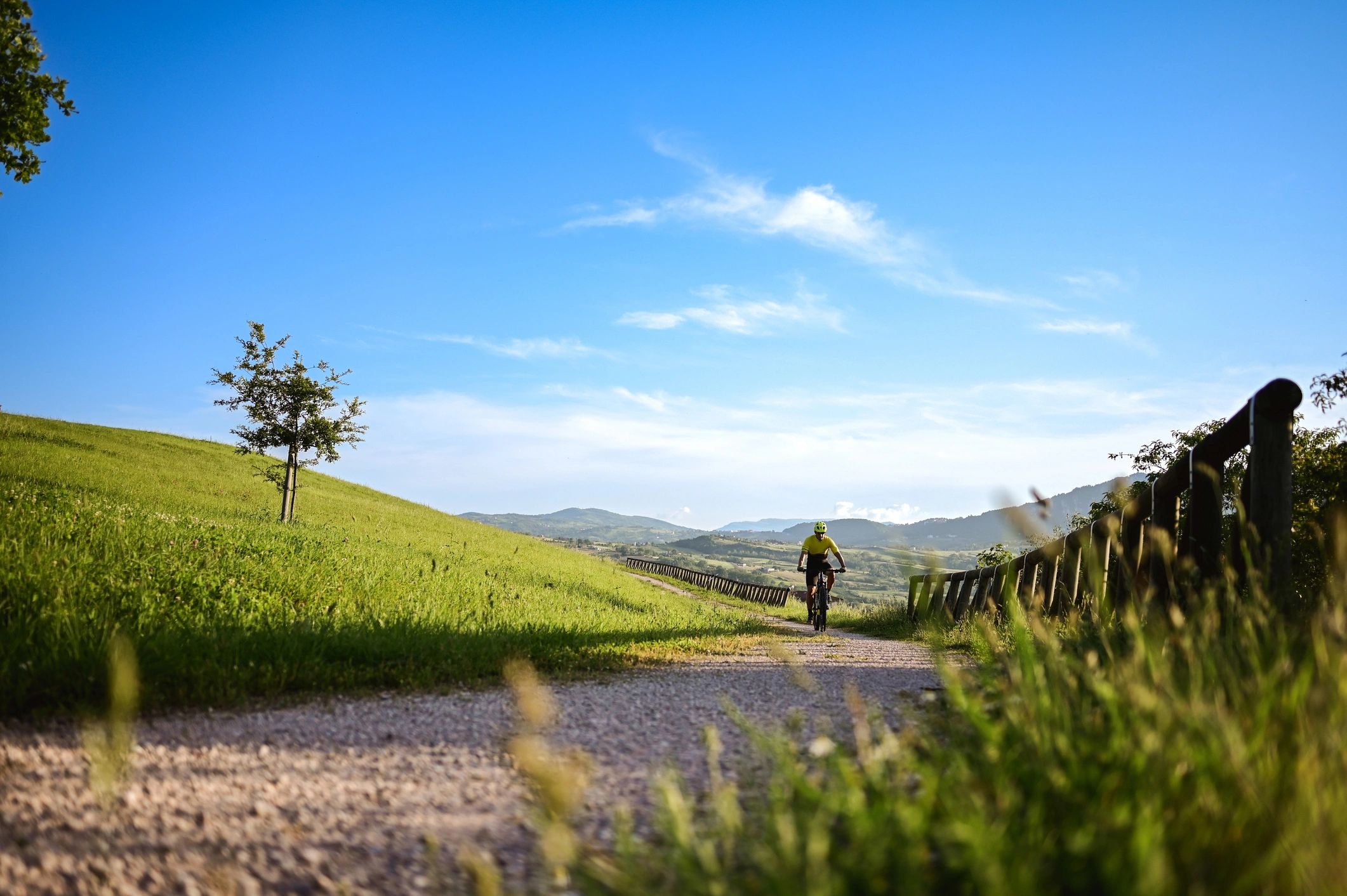 Cyclist riding outdoors on a paved path