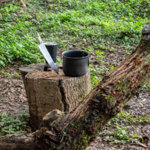 Wildwood Cycles VA camp mug mockup (placeholder)